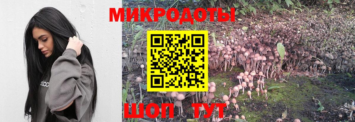 Сердобск  Псилоцибиновые грибы GOLDEN TEACHER  магазин    Вход с VPN  Псилоцибиновые грибы MAGIC MUSHROOMS 