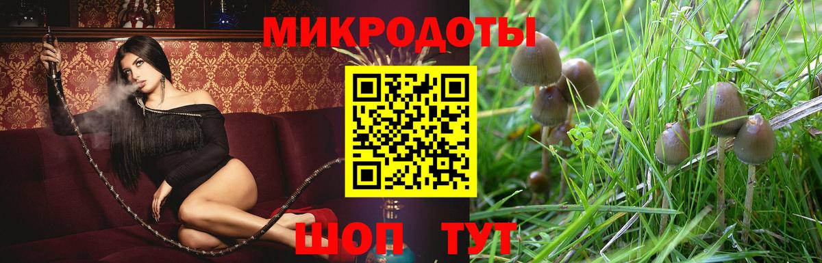 Галлюциногенные грибы GOLDEN TEACHER Сердобск